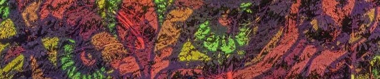 BiZarA