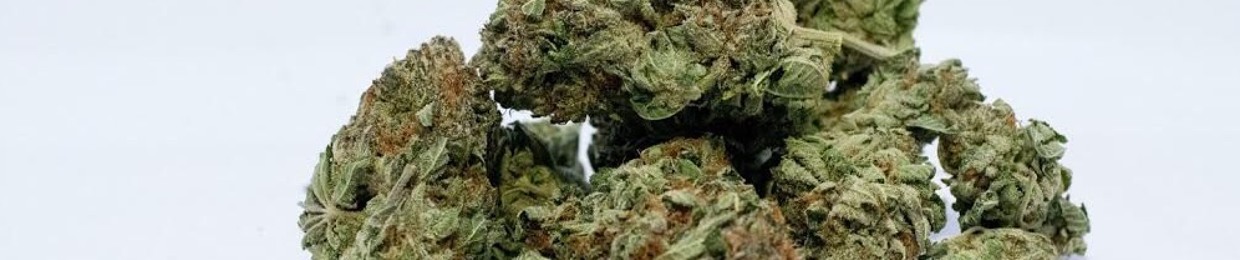 LemonHaze Musik