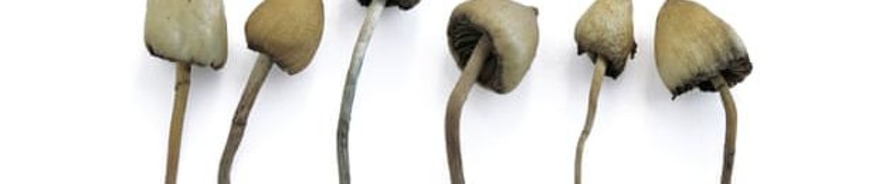 SSSostanza-SospettaSSS