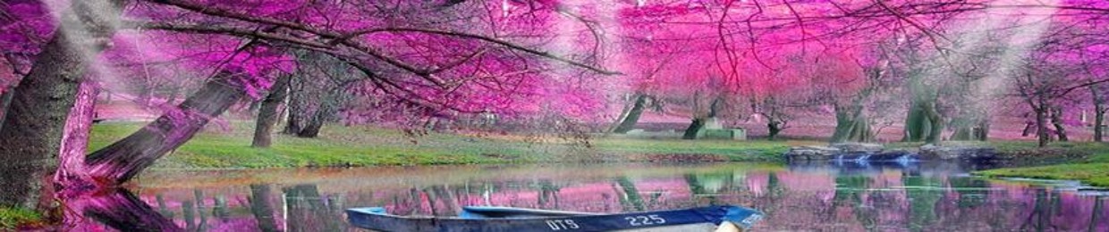 رامى حرب وأيام زمان