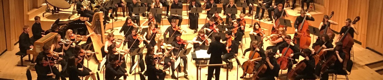 The National Video Game Orchestra of Wales