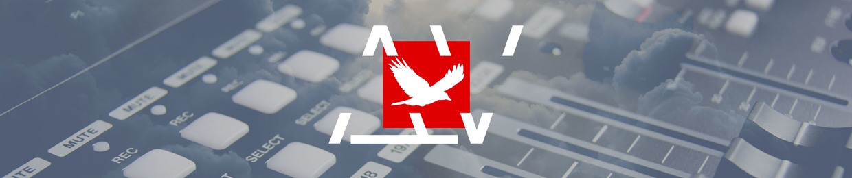 Avian Beats