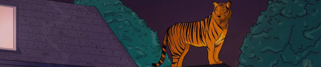 LO-FI TIGERS