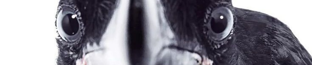 diomo