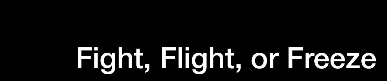 Fight No Flight