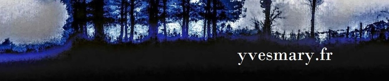 YVES MARY