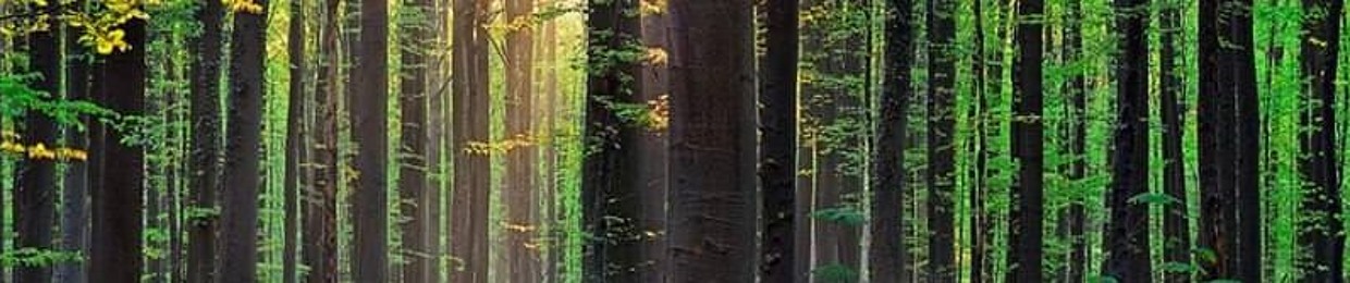 Isc-bosc