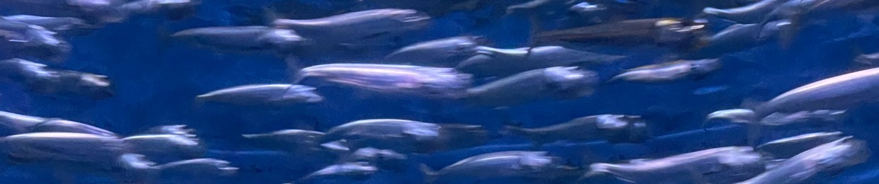 Keizo Fish