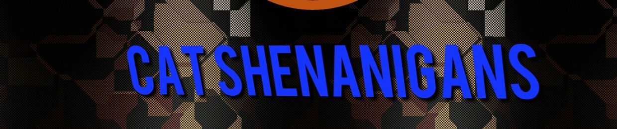 CAT SHENANIGANS 2
