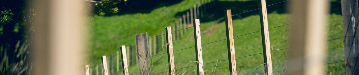 The Rural Sales Show