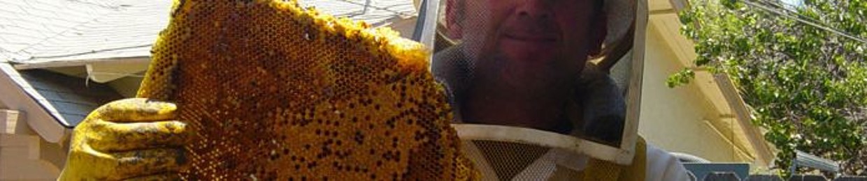 Beehive Removal and Repair LLC