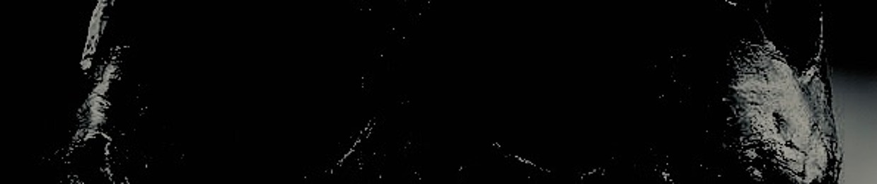 lint_filter