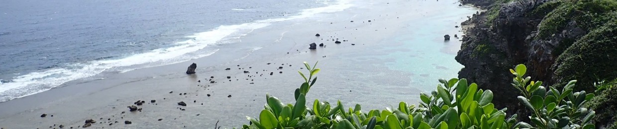 安藤智哉(Tomoya Ando)