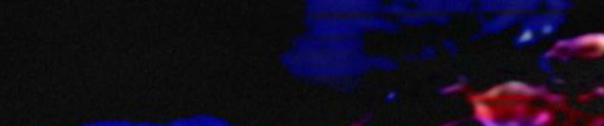 ⁦⁦⁦⁦⁦⁦⁦⁦⁦⁦⁦⁦⁦⁦⁦⁦⁦⁦⁦⁦YAHMEH