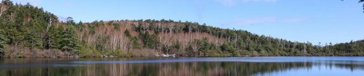 Cuéntamelo en menos de 10 minutos!