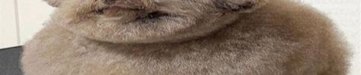 felix