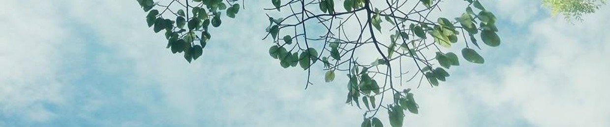 Hồng Diệp Phí Vũ