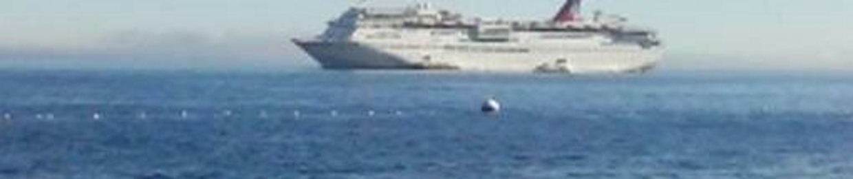 Professor Pat Pearson MSN