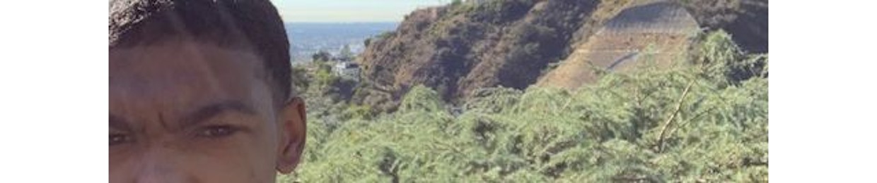 MirZilla
