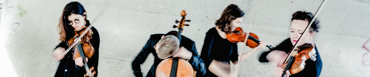 Chaos String Quartet