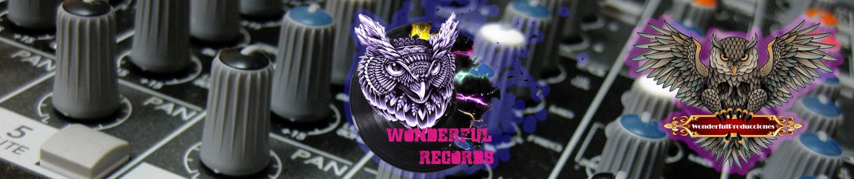 WonderfulRecords