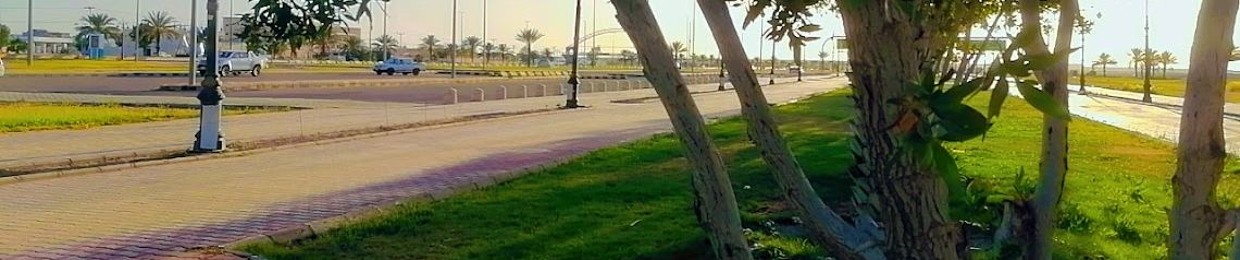 محمد مصباح