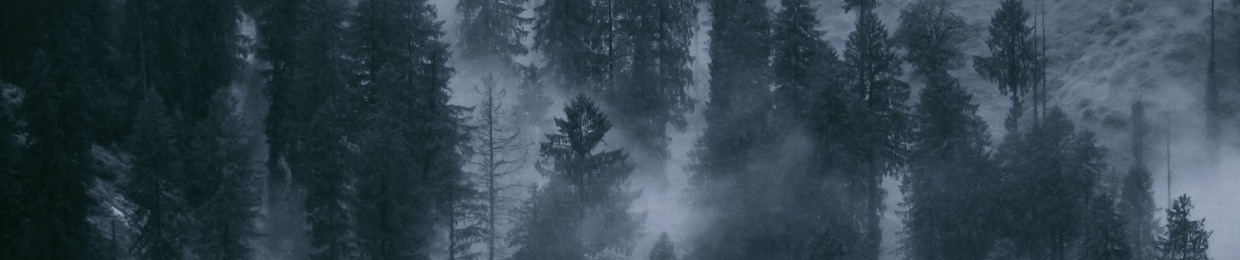 A Vinter