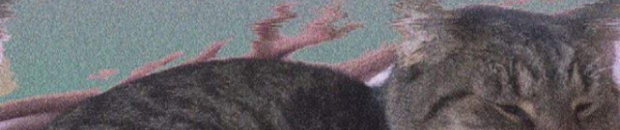 1191212