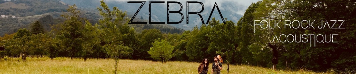 ZEBRA - Folk Rock Acoustique - Duo / Trio