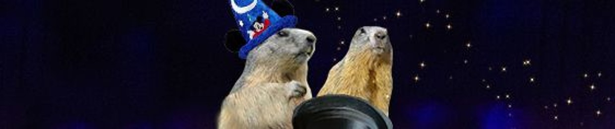 Stream Magic Marmotte Music Listen To Songs Albums Playlists For Free On Soundcloud