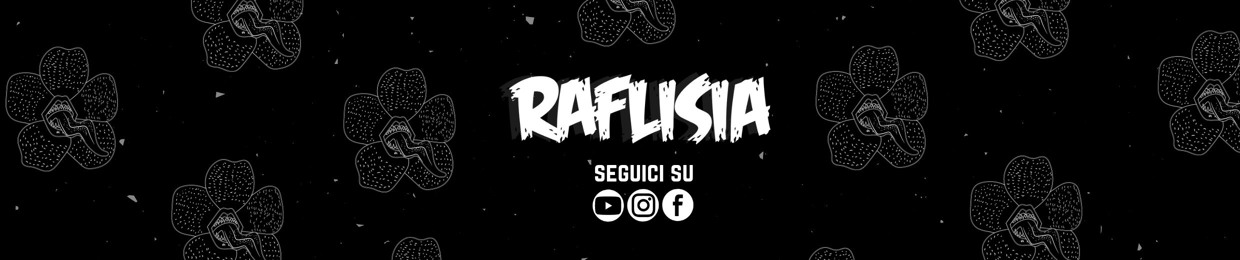 Raflisia