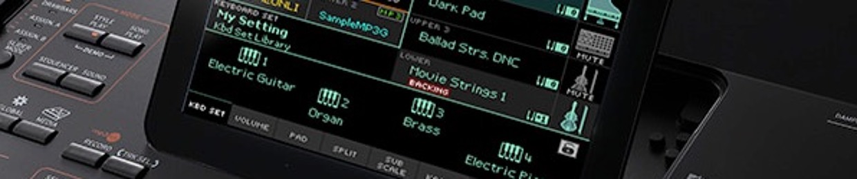 Hùng Nguyễn Korg Pa4X Pro Styles