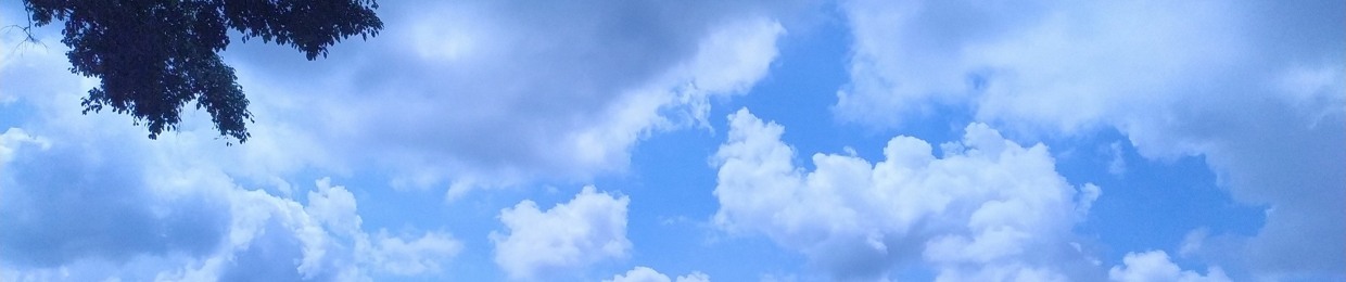 BlUhOl