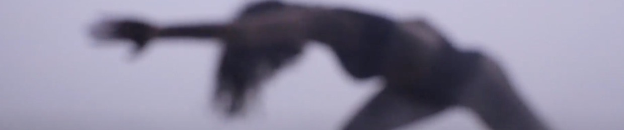 Dark Alli
