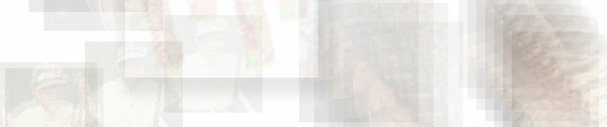 CC polygum
