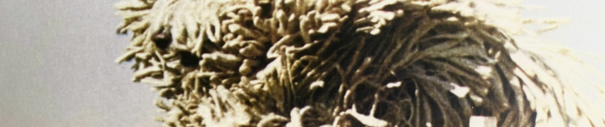 Modaltib