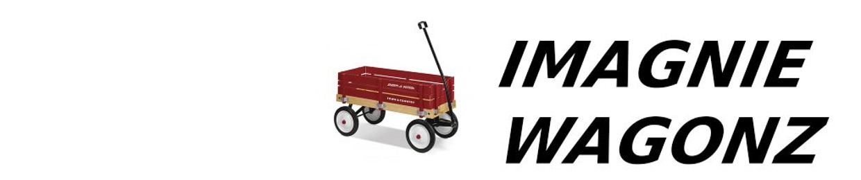 The IMAGNIE wagonZ