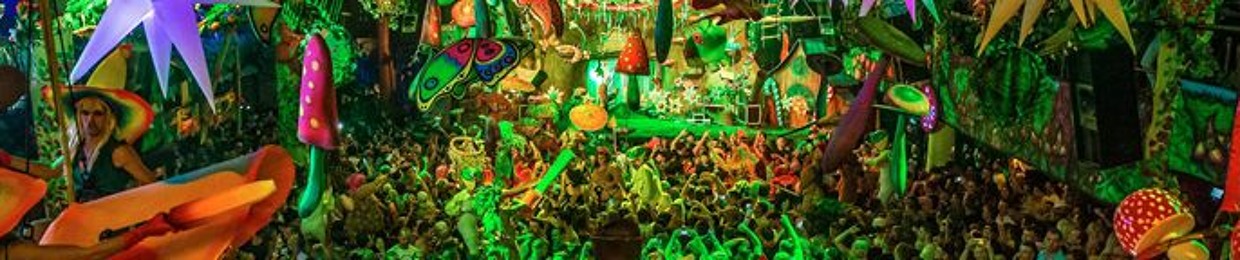 ♥️💛💚wild Rasta♥️💛💚
