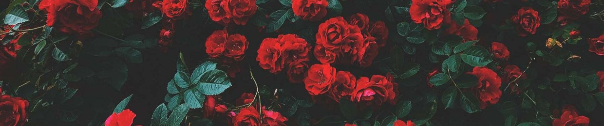 faiqahamiza