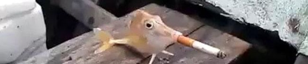 ‎ ‎ ‎ ‎ ‎ ‎ ‎ ‎  ‎ godlike  ‎ ‎ ‎ ‎ ‎ ‎ ‎