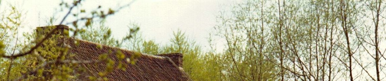 rotatingdiscs
