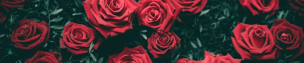 thisthingcalledluv