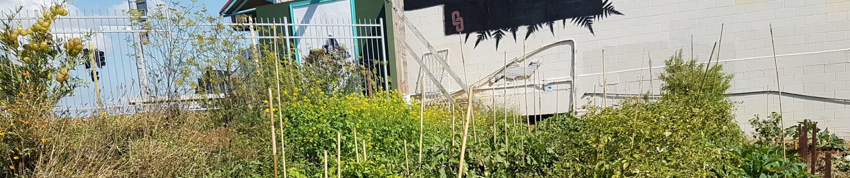 CommunityRoots