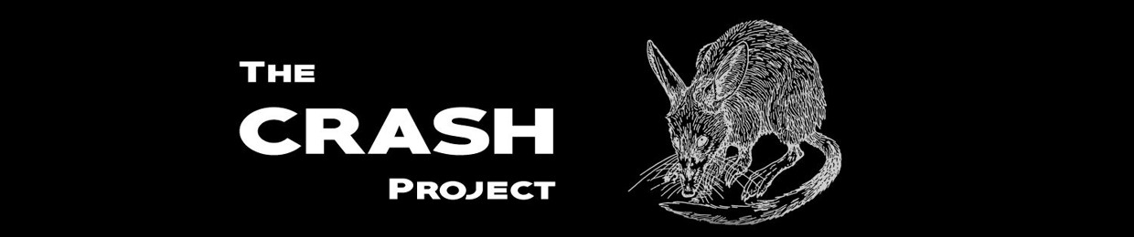 The Crash Project