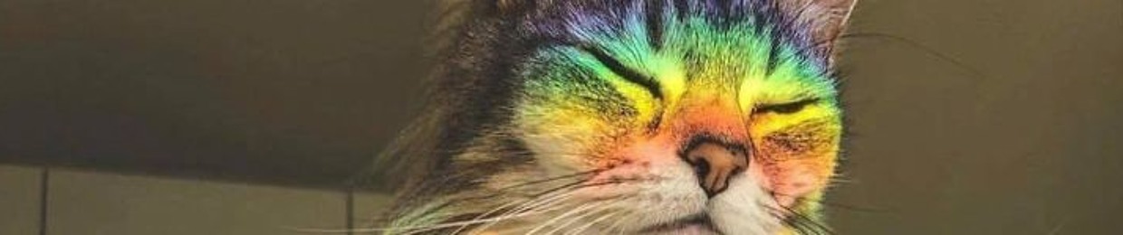 ShamAndréja des Wolfes