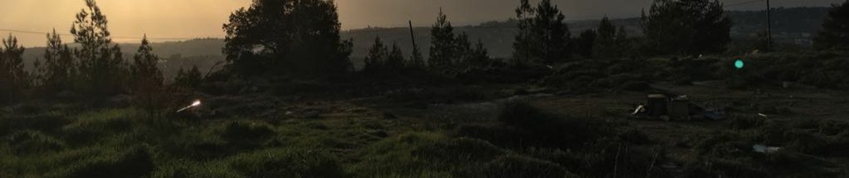 Yehuda HaKohen