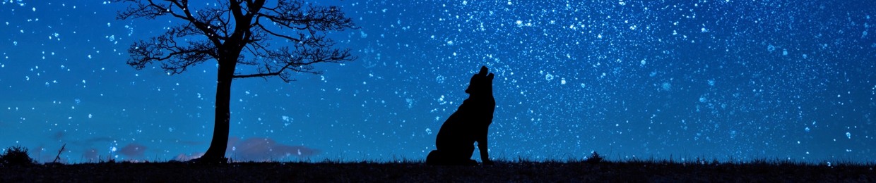 ☆ $AD.WOLFY ☆