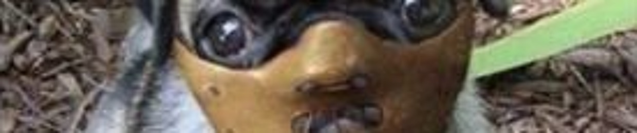 GameFace Records LLC.