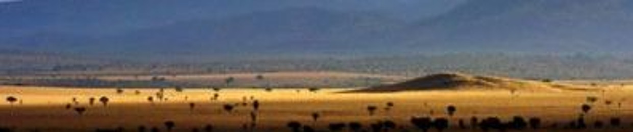 LIMITLESS TOURS UGANDA