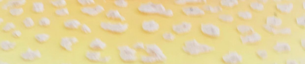 Amanita Experience (Æ)